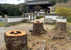 写真２