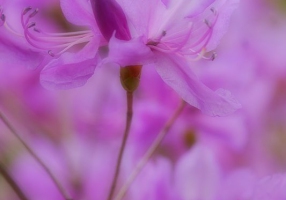 写真２